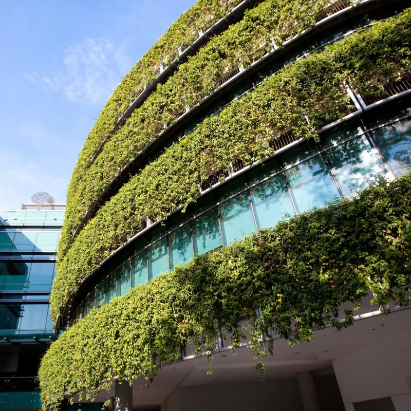 Rural Electrification